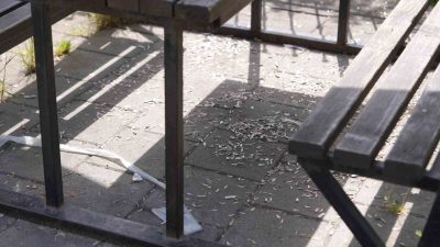 Düzce’nin nefes alma noktalarından Melen Su Park’ta piknikçilerin geride bıraktığı
