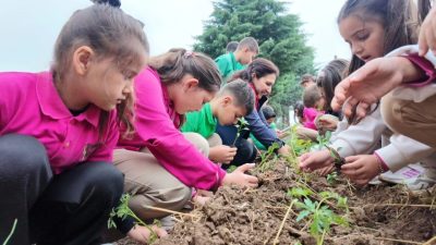 Düzce İl Tarım ve Orman Müdürlüğü koordinasyonunda, Düzce Belediyesi Tarım