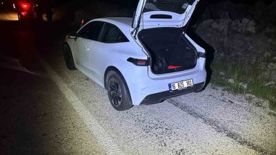 Bilecik’te seyir halinde önüne aniden çıkan köpeğe çarpan araçta maddi