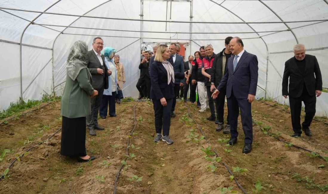 Kastamonu’da “Özel Yürekler Üreten Eller Şekerköy Projesi” kapsamında hazırlanan seralarda