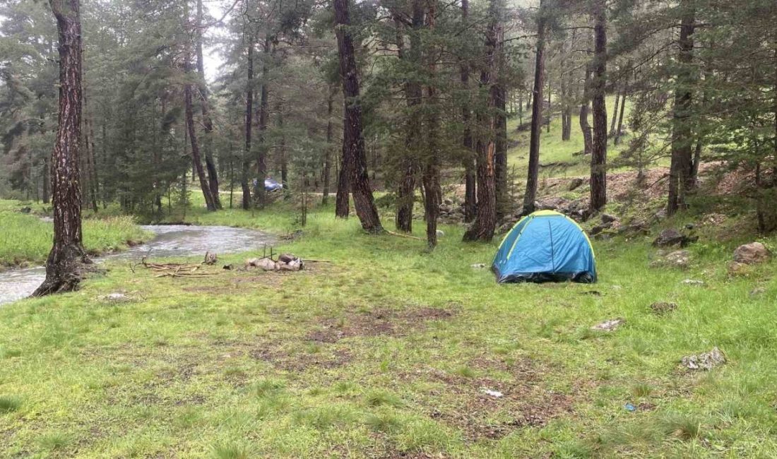 Bolu’nun Aladağlar bölgesinde piknik yaparken yanlarındaki ağaca yıldırım düşmesi sonucu