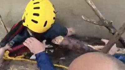 Düzce’nin Cumayeri ilçesinde rafting botunun devrilmesi neticesinde nehre düşen kadının