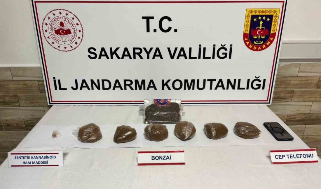 Sakarya’da jandarma ekiplerince 2 ilçede uyuşturucu madde satıcılarına yönelik düzenlenen