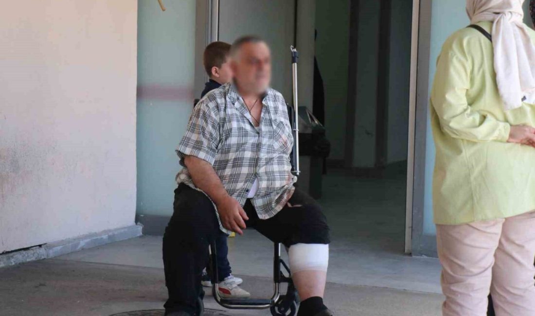 Sakarya’da kurban kesimi sırasında yaralanan çok sayıda vatandaş, hastanelerin acil