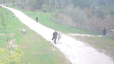 Sakarya’nın Arifiye ilçesindeki tabiat parkında yer alan gölette cansız bedeni