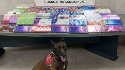 Sakarya’da jandarma ekiplerince kaçakçılık suçlarıyla mücadele kapsamında 3 ilçede düzenlenen