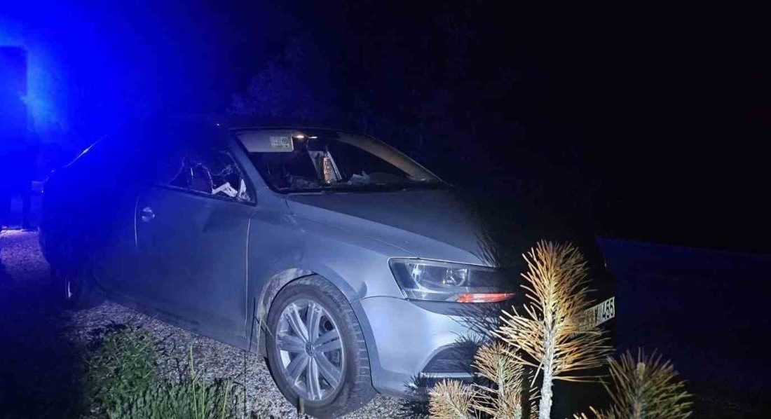 Bilecik’in Bozüyük ilçesinde geyiğin seyir halindeki otomobile çarpması sonucu meydana