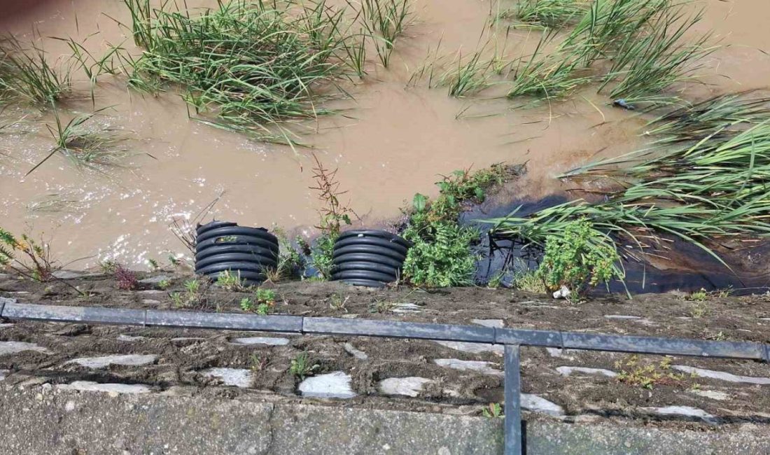 Kastamonu’nun Cide ilçesinde, Kuz Deresi’nin rengi değişen suyu vatandaşları endişelendirdi.