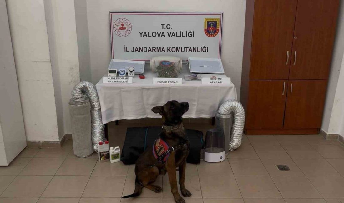 Yalova’da yasa dışı yollarla yurt dışına çıkarılmak istenen Afganistan uyruklu