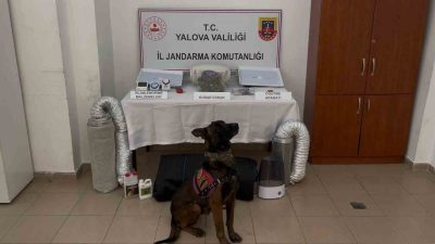 Yalova’da yasa dışı yollarla yurt dışına çıkarılmak istenen Afganistan uyruklu