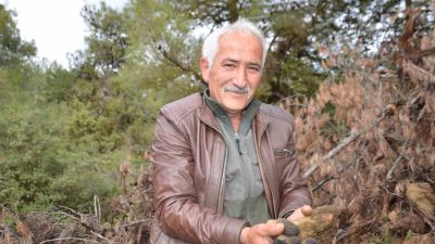 Bilecik’te geçtiğimiz sene çıkan yangınla birlikte heba olan 140 bin