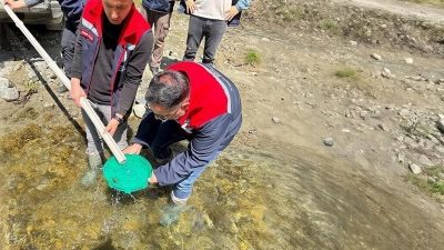 Düzce’nin Yığılca ilçesinde balık popülasyonunun arttırılması için dere ve akarsulara