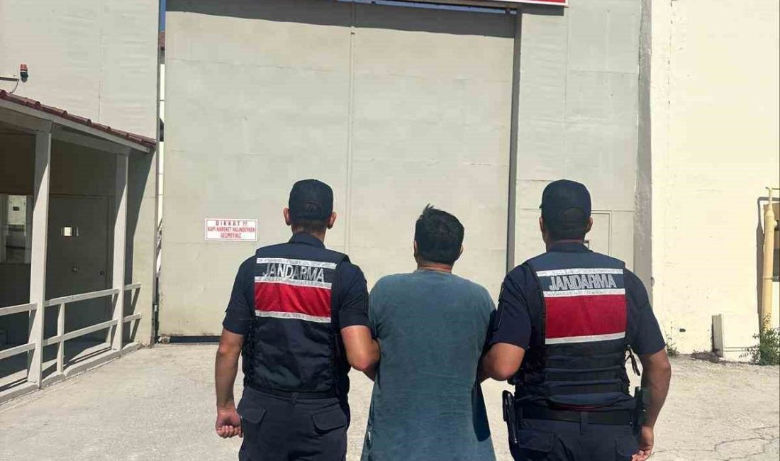 Bilecik’te 5 yıl 10 ay hapis cezası bulunan şahıs jandarma