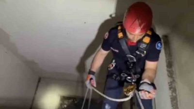 Kocaeli’nin Karamürsel ilçesinde apartman boşluğuna düşen yavru martı, itfaiye ekiplerince
