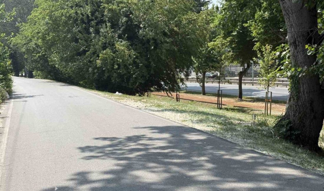 Aracında silahla vurulmuş halde ölü bulundu Sakarya’nın Adapazarı ilçesinde bir kişi, park halindeki aracında silahla vurulmuş