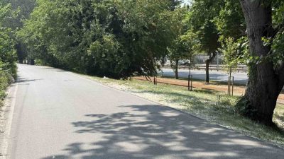 Sakarya’nın Adapazarı ilçesinde bir kişi, park halindeki aracında silahla vurulmuş
