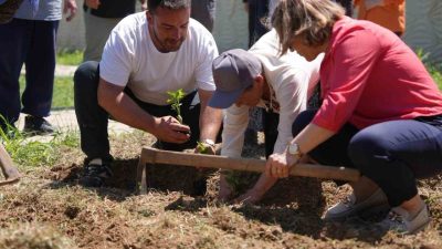 Düzce Belediyesi Tarım Akademisi’nde ata tohumundan elde edilen fideler, Ertan