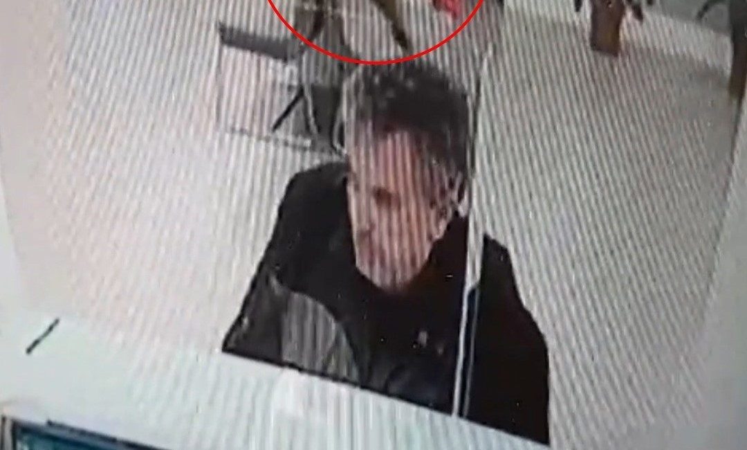 Bolu’da banka şubesinde işlem yapan vatandaşın üzerine asma tavandan kedi