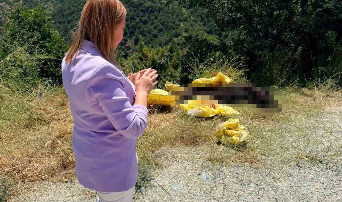Pazaryeri Belediye Başkanı Zeki Tekin, yol kenarına bırakılan hayvan leşine