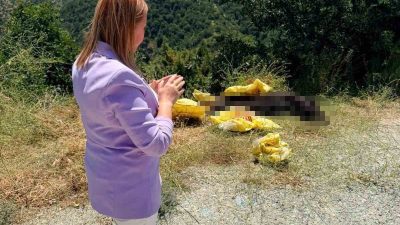 Pazaryeri Belediye Başkanı Zeki Tekin, yol kenarına bırakılan hayvan leşine