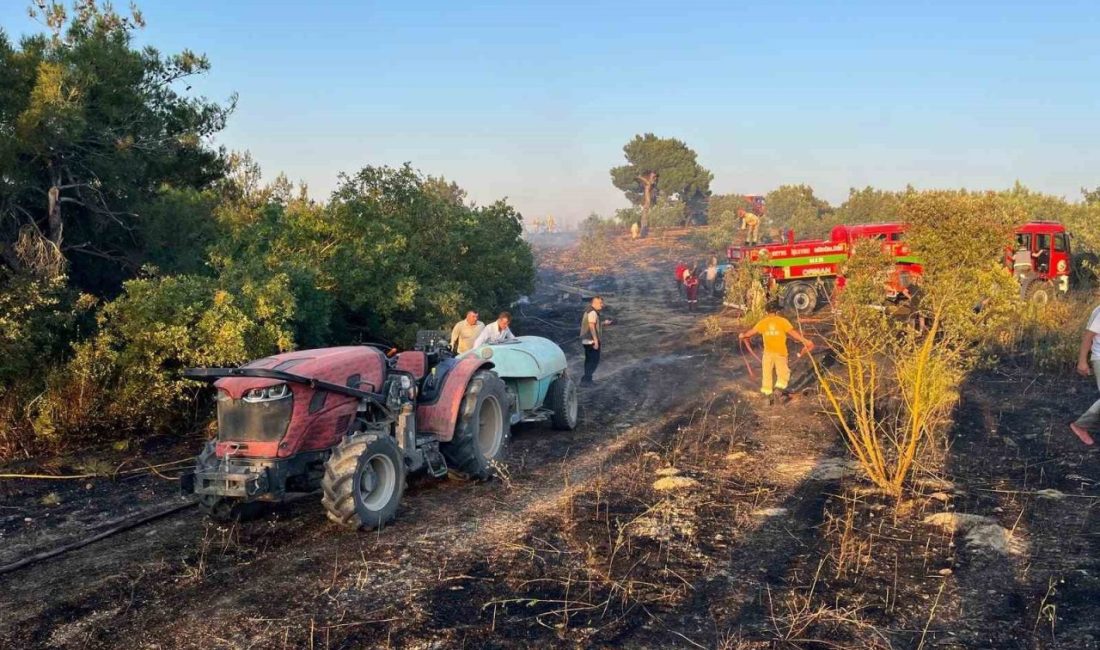 Sakarya’da akşam saatlerinde çıkan yangın, Bilecik sınırına 300 metre kala