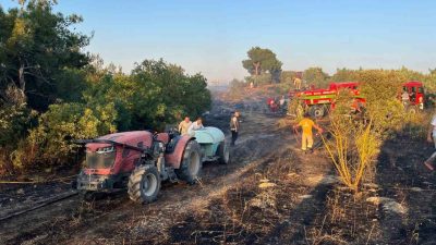 Sakarya’da akşam saatlerinde çıkan yangın, Bilecik sınırına 300 metre kala