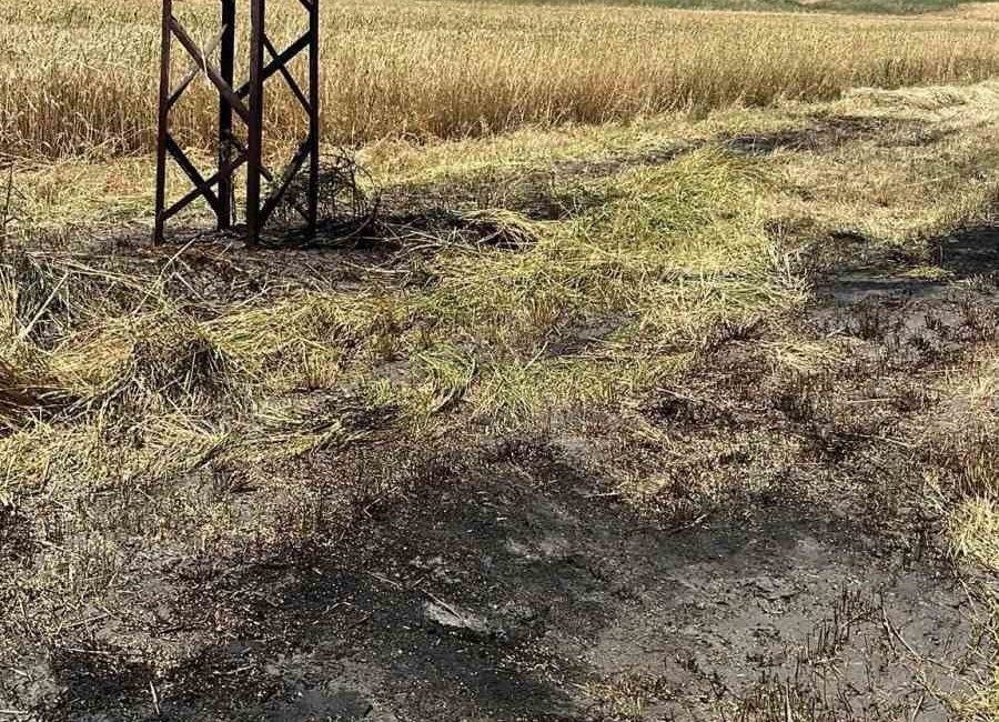 Bilecik’te meydana gelen anız yangını zamanında müdahaleyle anında söndürüldü. Olay;