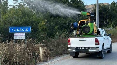 Bilecik’in Söğüt ilçesinde haşerelere karşı ilaçlama çalışması yapıldı. Söğüt Belediyesi