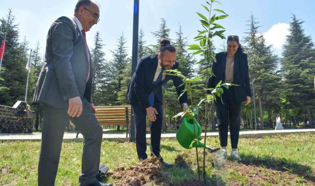 Bilecik Şeyh Edebali Üniversitesi öğrencileri tarafından ’Kampüsü Ağaçlandırıyoruz’ sloganıyla fidanlar