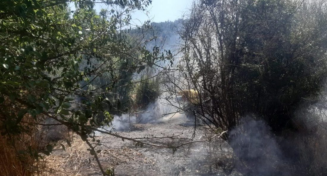 Bilecik’te tarlada bulunan otluk alanda yangın çıktı. Yangın, Bilecik’in Söğüt