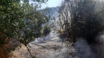 Bilecik’te tarlada bulunan otluk alanda yangın çıktı. Yangın, Bilecik’in Söğüt