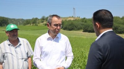 Bilecik’te pelemir tarlarında incelemelerde bulunuldu. Bilecik İl Tarım ve Orman