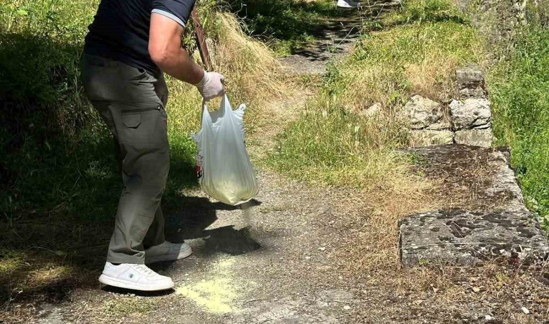 Bilecik’in Söğüt ilçesinde piknik alanlarında ilaçlama çalışması gerçekleştirildi. Söğüt Belediyesi