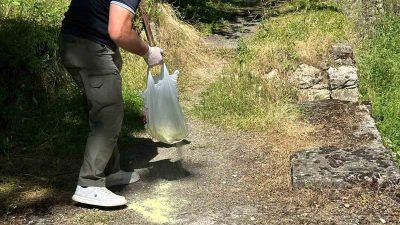 Bilecik’in Söğüt ilçesinde piknik alanlarında ilaçlama çalışması gerçekleştirildi. Söğüt Belediyesi