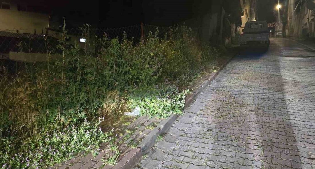 Bilecik’te kaldırımların adeta otluğa dönmesi vatandaşların tepkilerine neden oldu. Bilecik