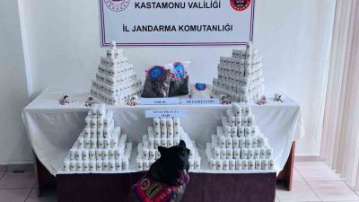 Kastamonu’da 69 bin 407 adet sentetik ecza, 975 gram metamfetamin