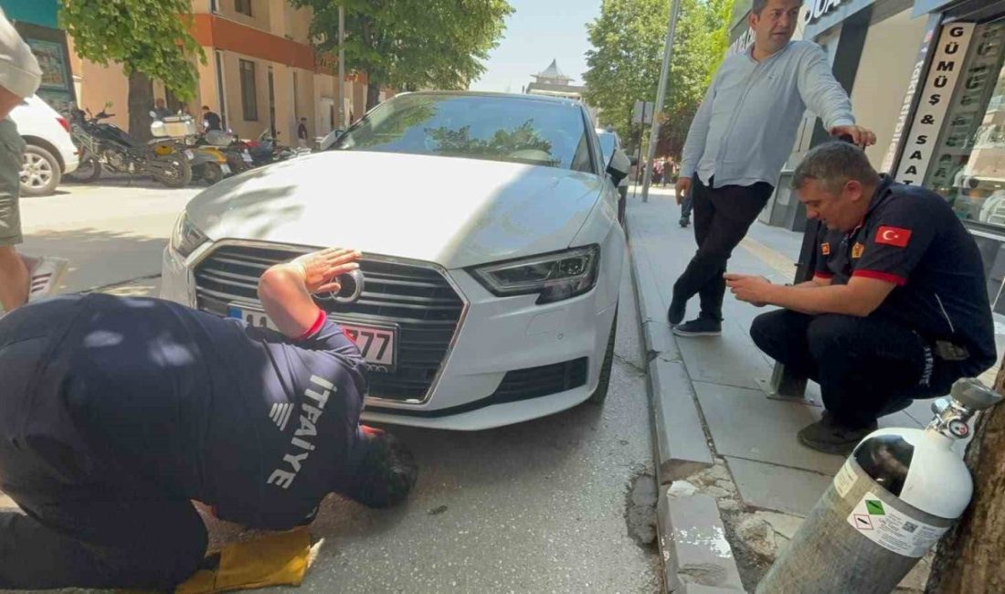 Bir arabadan çıkıp başka arabaların altına giren kedi itfaiyecilere zor anlar yaşattı Bilecik’te bir arabanın motor kısmına giren yavru kedi, oradan çıkıp