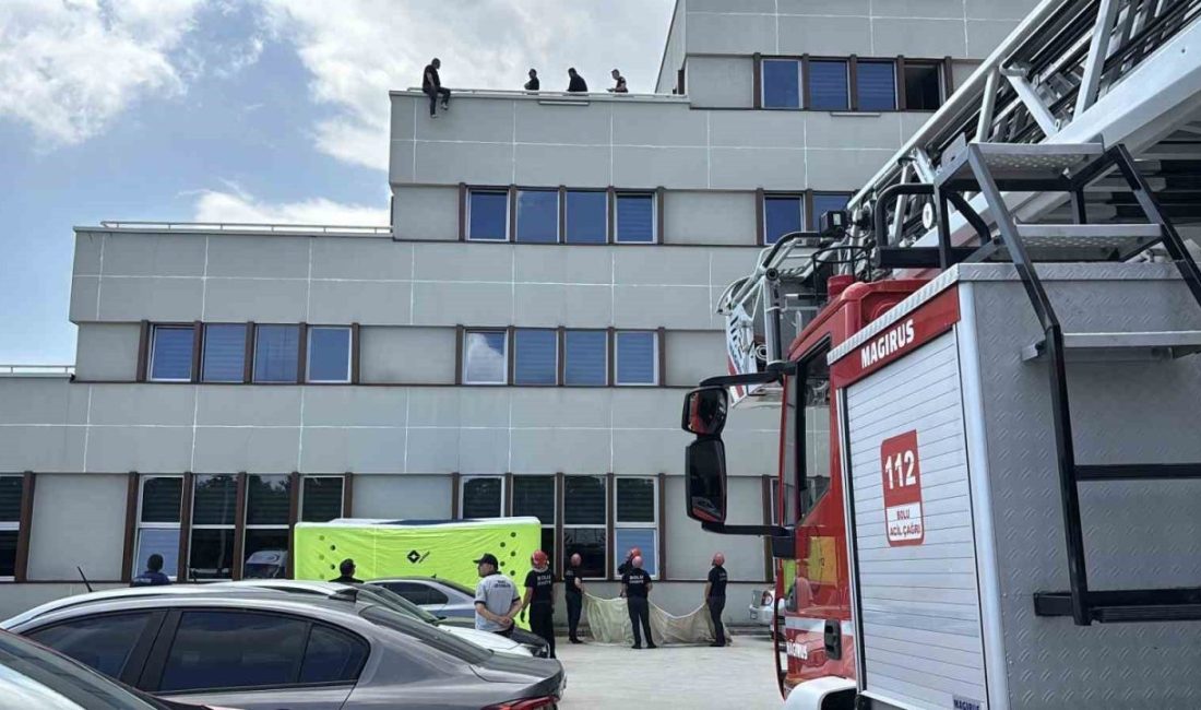 Bolu’nun Yeniçağa ilçesinde toplanması yasak olan yabani salep topladıkları gerekçesiyle