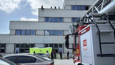 Bolu’nun Yeniçağa ilçesinde toplanması yasak olan yabani salep topladıkları gerekçesiyle