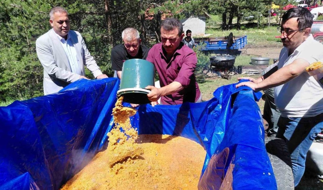 Bolu’nun Mudurnu ilçesinde asırlardır devam eden geleneksel Şimşir Bayramı, yüzlerce