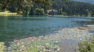Bolu’nun doğa harikaları Gölcük Tabiat Parkı ve Abant Gölü Milli