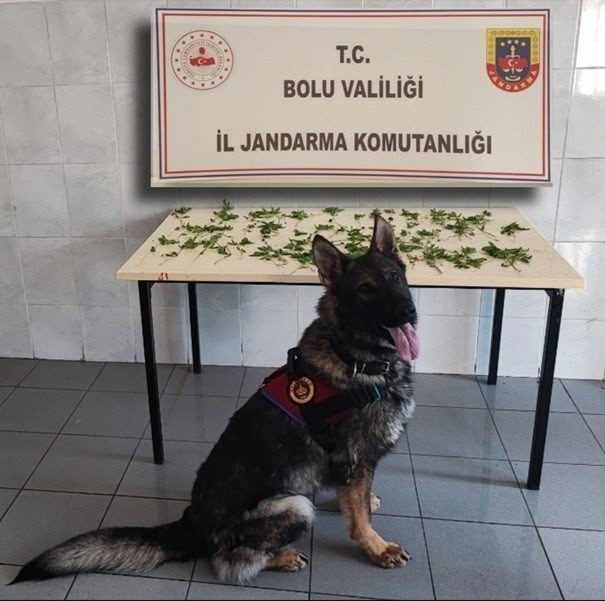 Bolu’da jandarma ekiplerince kaçakçılık ve uyuşturucu madde ticaretiyle mücadele kapsamında