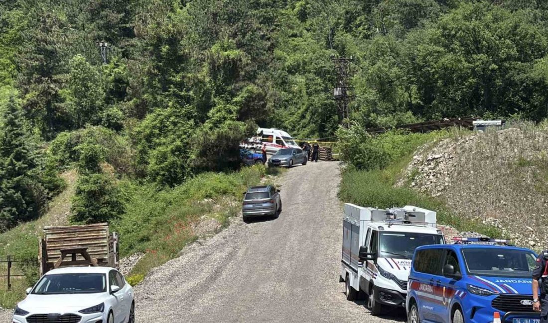 Bolu’nun Mengen ilçesindeki maden ocağında meydana gelen göçükte hayatını kaybeden