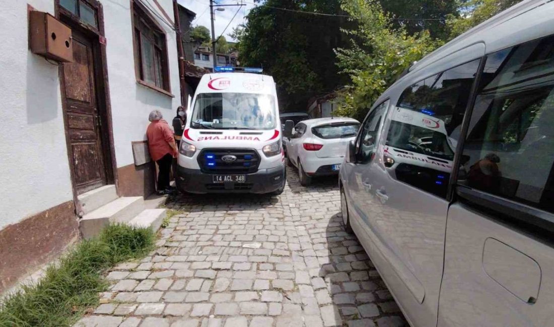 Bolu’nun Mudurnu ilçesinde rahatsızlanan yaşlı bir hasta için olay yerine