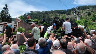 Bolu’nun Mudurnu ilçesinde vatandaşlara ücretsiz olarak dağıtılan fide, dakikalar içerisinde