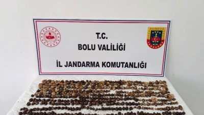 Bolu’nun Yeniçağa ilçesinde toplanması yasak olan 4,5 kilogram yabani salep