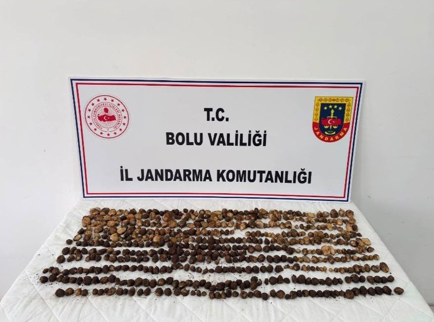Bolu’nun Yeniçağa ilçesinde toplanması yasak olan 4,5 kilogram yabani salep