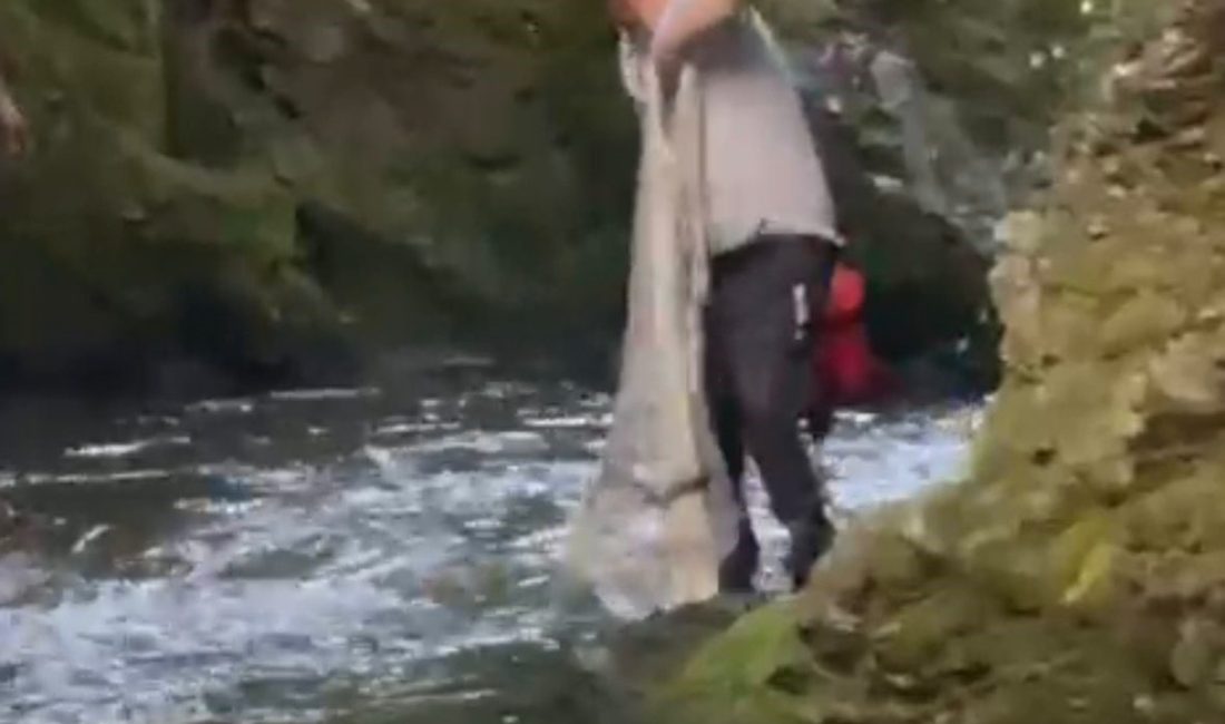 Bolu’da bulunan Sarıçam Orman İşletme Evleri mevkisinde, yasak olmasına rağmen
