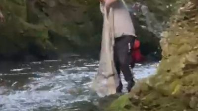 Bolu’da bulunan Sarıçam Orman İşletme Evleri mevkisinde, yasak olmasına rağmen