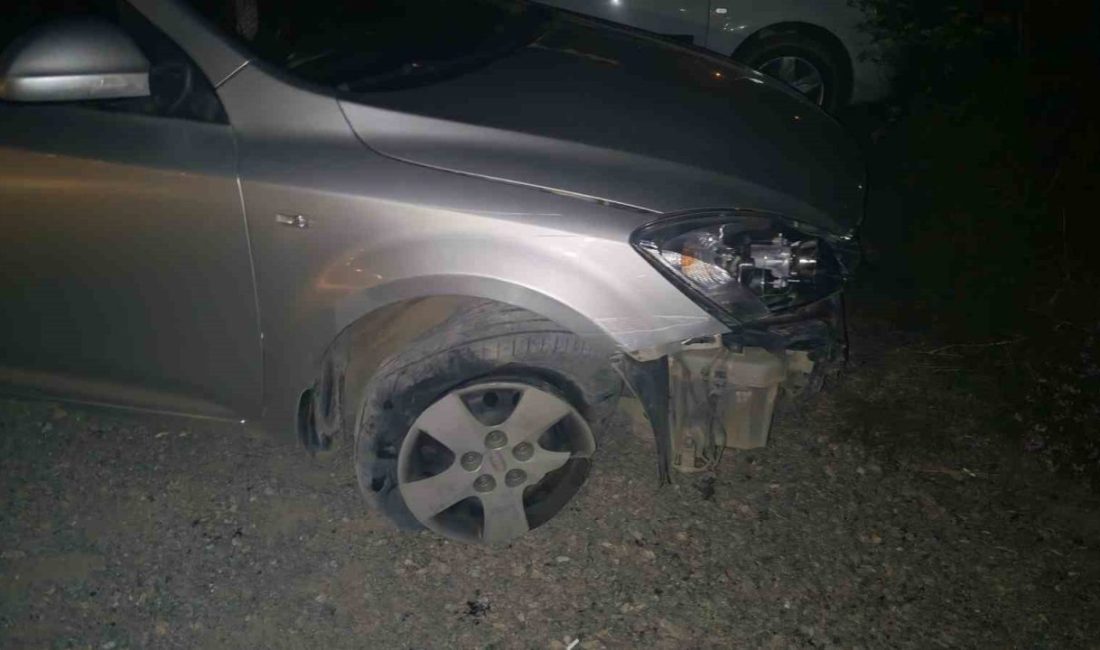 Bolu’nun Mudurnu ilçesinde, kavşaktaki yön levhasına çarptıktan sonra olay yerinden